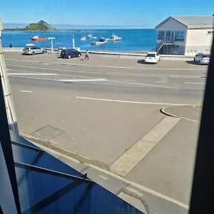 Apartment Modern & Cosy Studio Unit On Island Bay Beachfront, Wellington